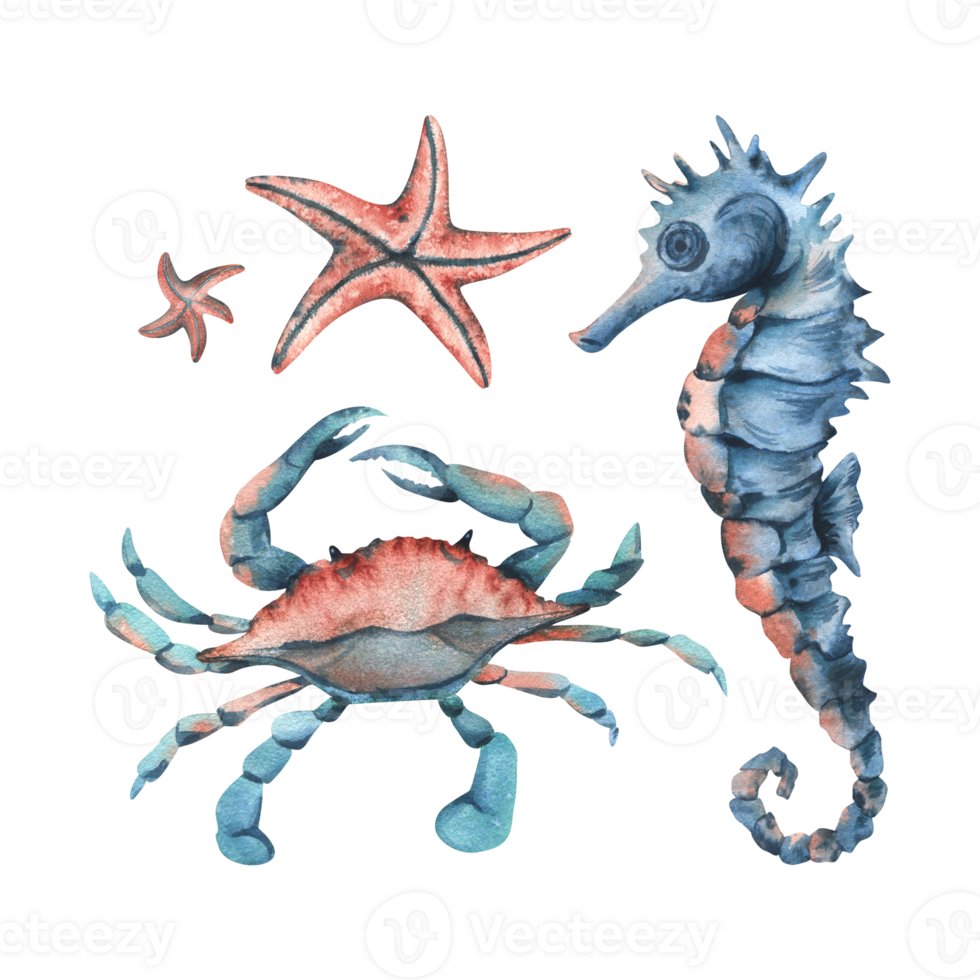Underwater world clipart with sea animals seahorse, starfish, crab. Hand drawn watercolor illustration. Set of isolated objects png