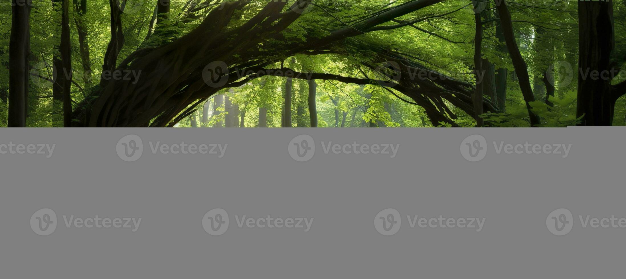 AI generated Natural archway shaped by branches in the forest. AI Generated photo