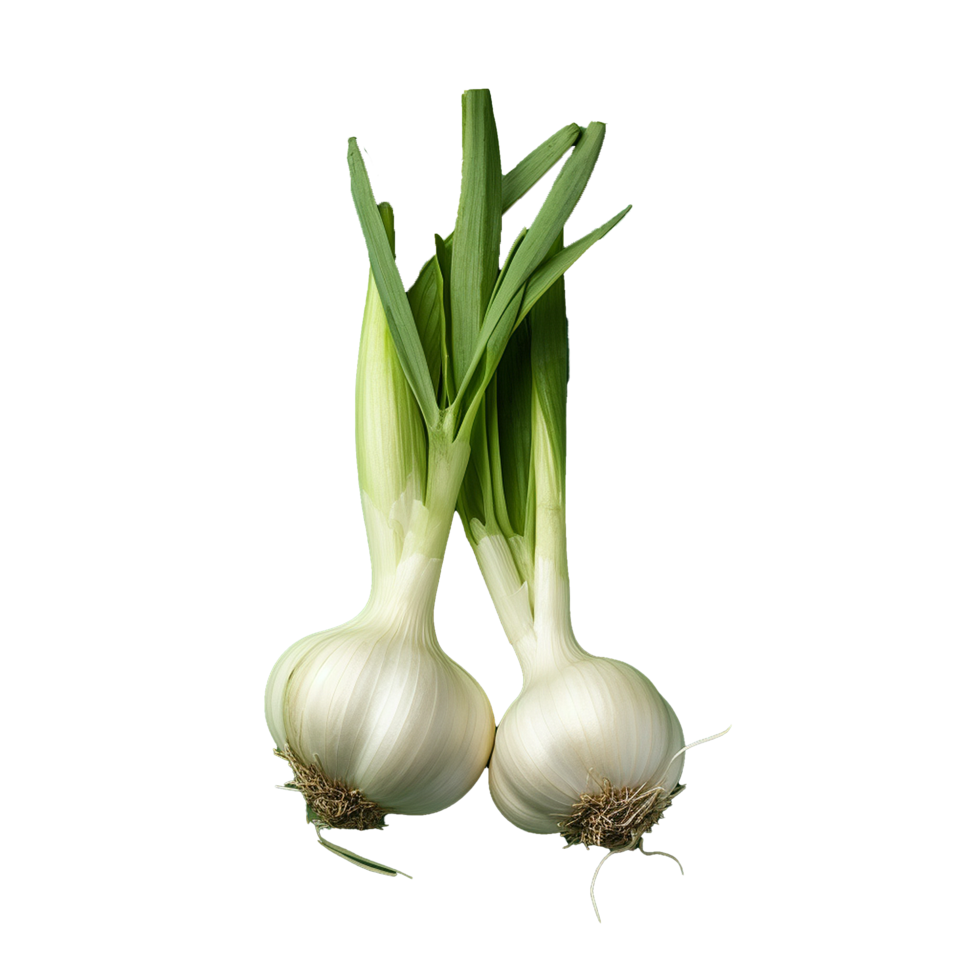 AI generated Garlic png isolated on transparent background