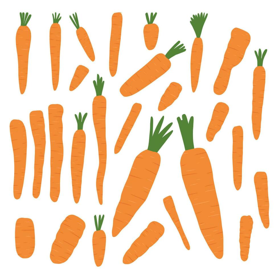 Vector collection of hand drawn colored carrot illustrations on a white background
