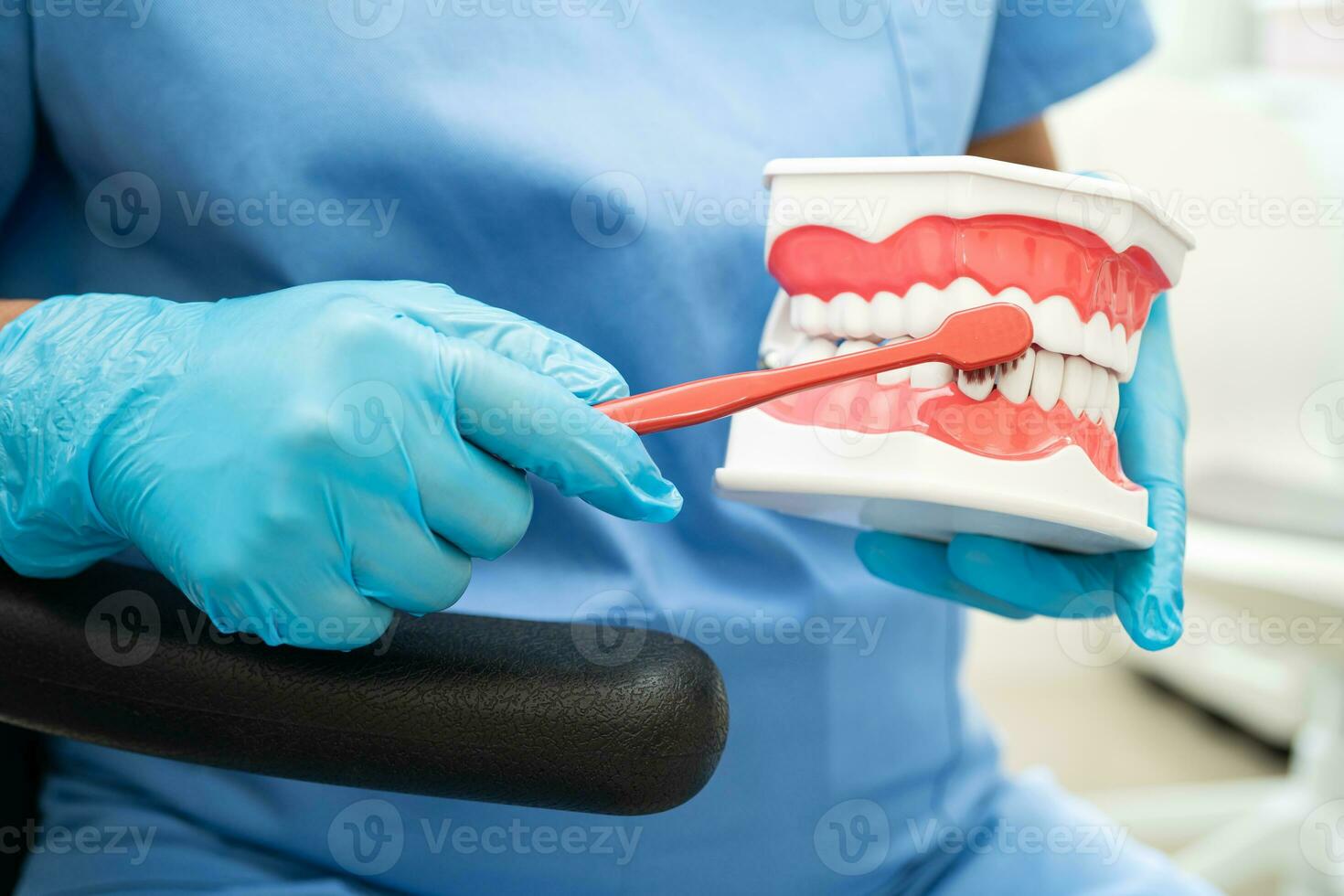 asiático dentista limpieza dientes de dental modelo con diente cepillo para paciente y estudiando acerca de odontología. foto