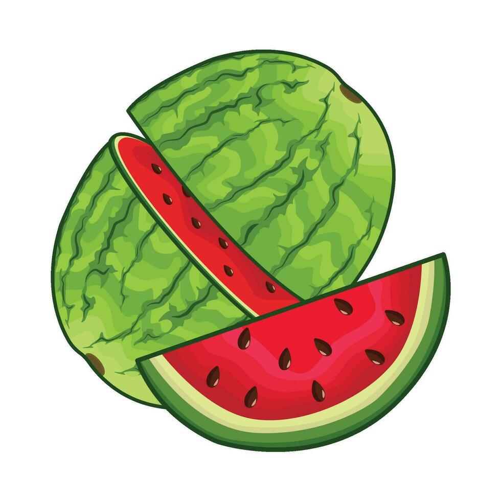 illustration of watermelon vector