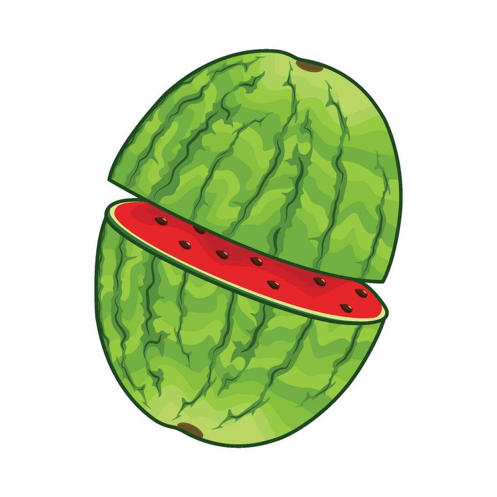 illustration of watermelon vector