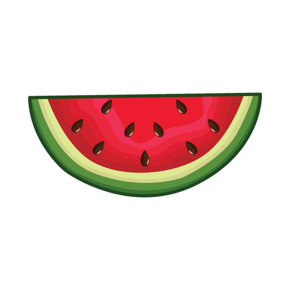 illustration of watermelon vector