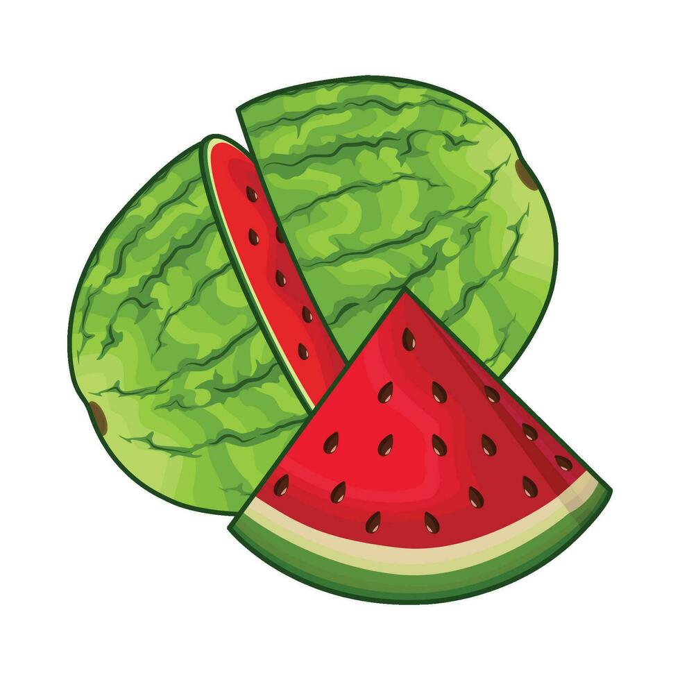 illustration of watermelon vector