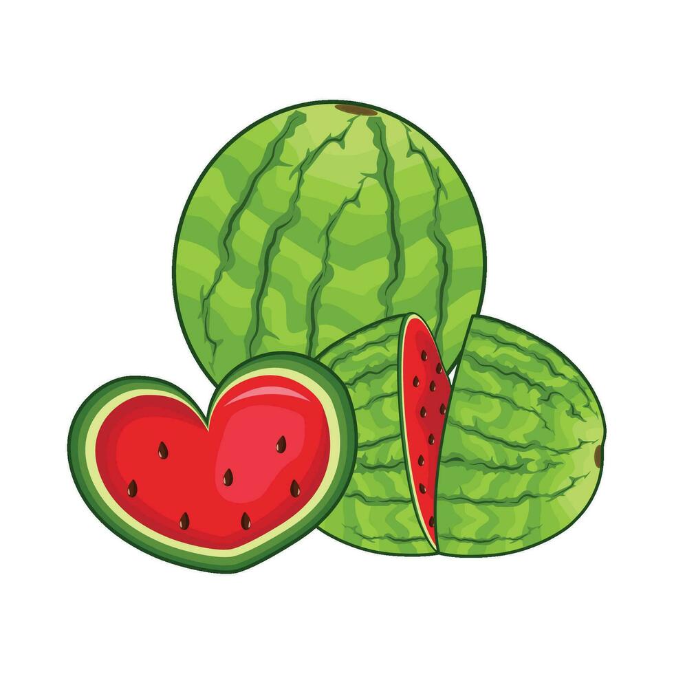 illustration of watermelon vector