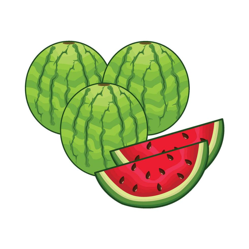 illustration of watermelon vector