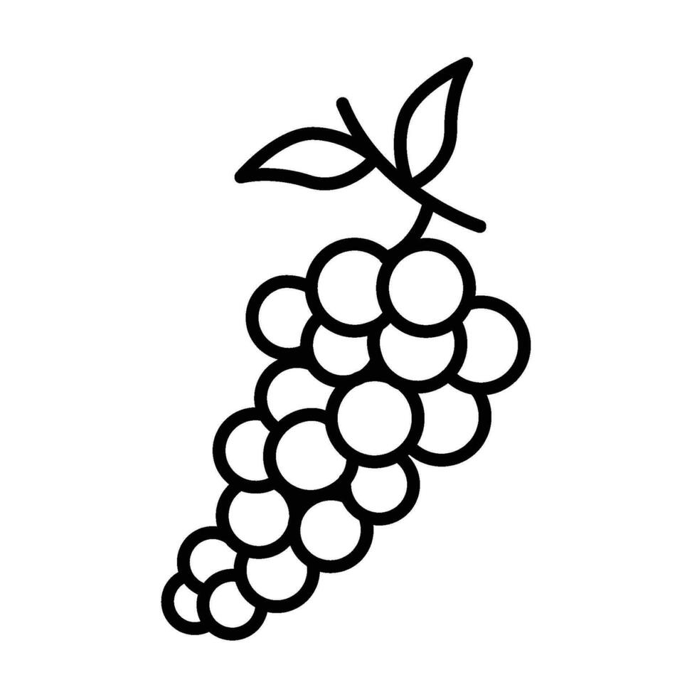 grape logo template for graphic and web design vector