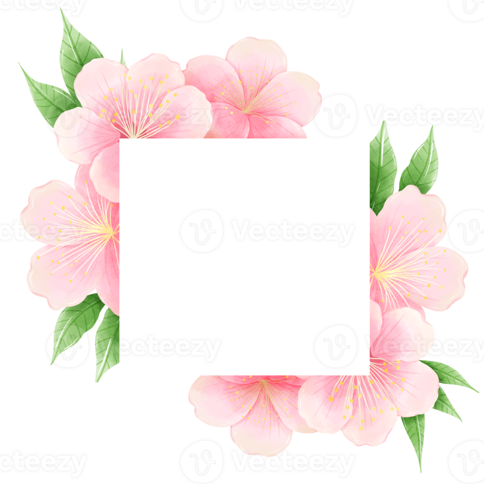 Watercolor hand drawn illustration of Cherry Blossom sakura frames wreaths border spring time pink blooming flowers png