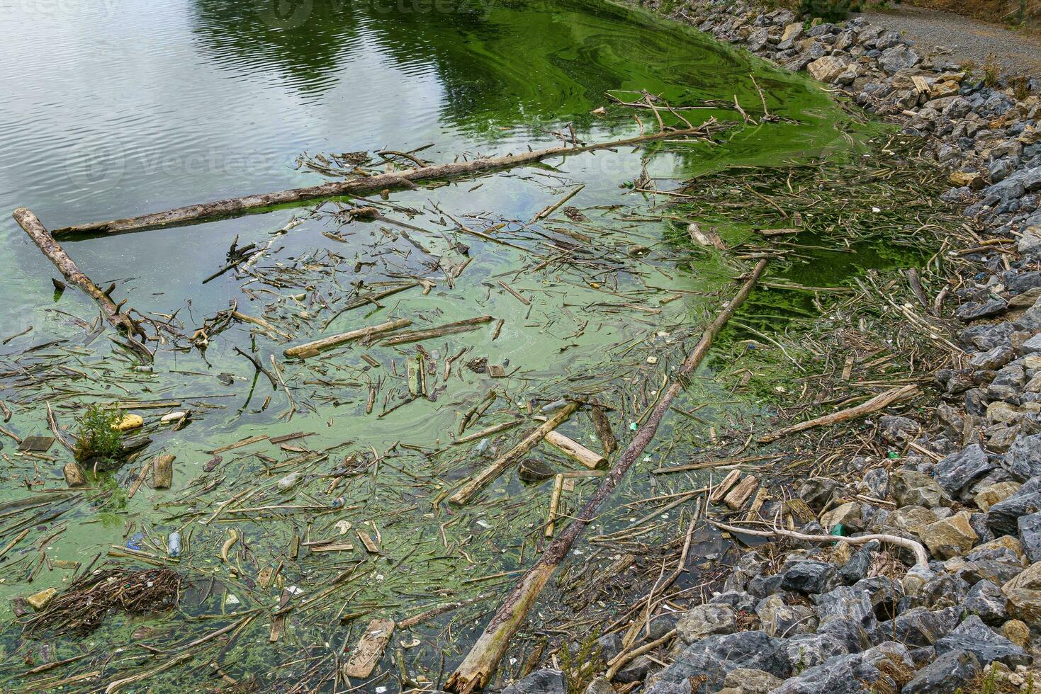 Water source that is polluted with various garbage. Environment pollution. photo