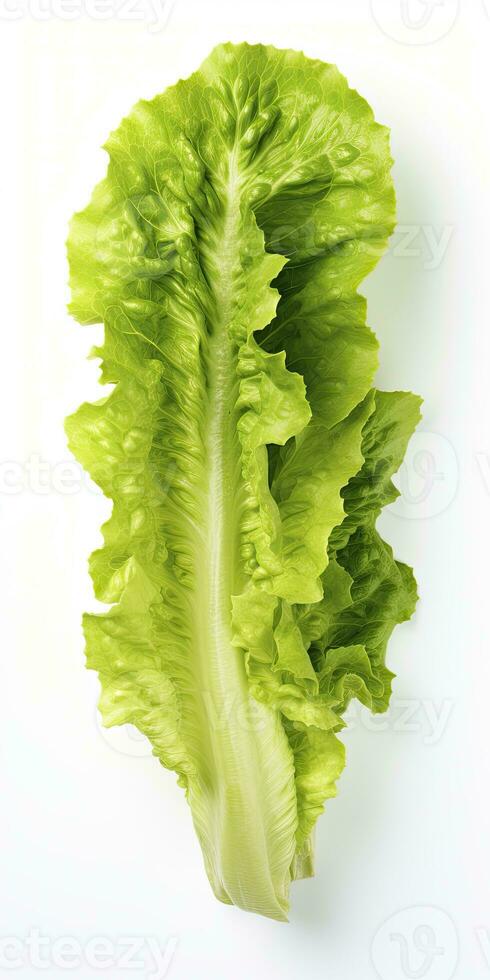 AI generated Lettuce isolated on white background. AI Generated photo