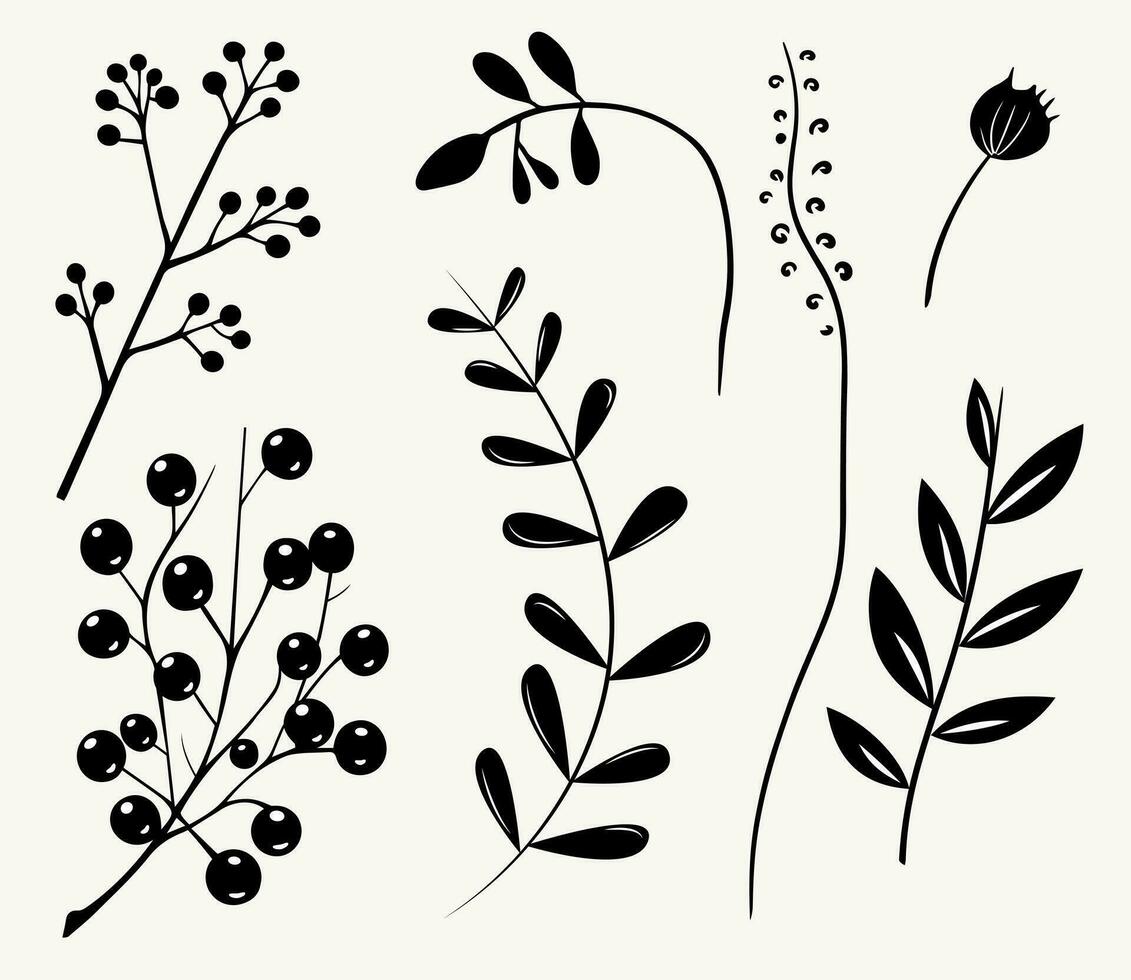Monochrome plants. Leaves, branches, floral elements set. Outline botanical illustration. Hand drawn isolated plants. vector