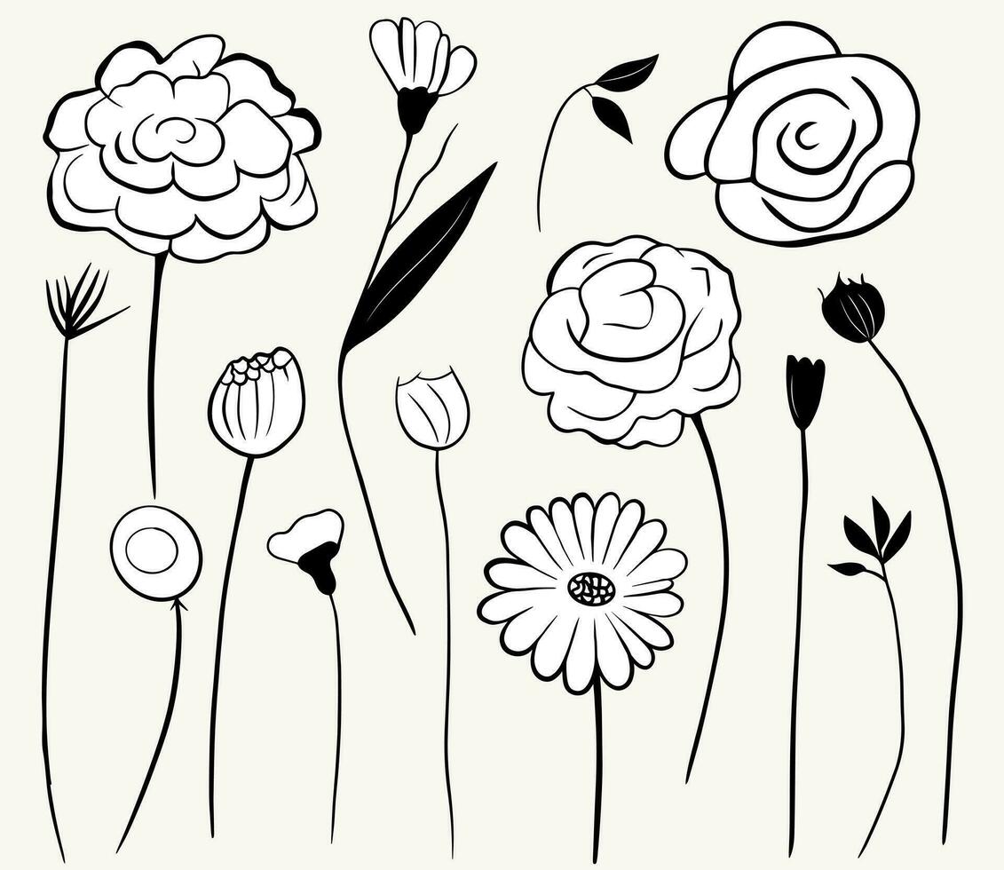 Monochrome doodle flowers. Floral elements set. Outline botanical illustration. Hand drawn isolated plants. vector
