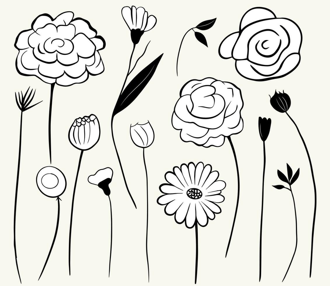 monocromo garabatear flores floral elementos colocar. contorno botánico ilustración. mano dibujado aislado plantas. vector