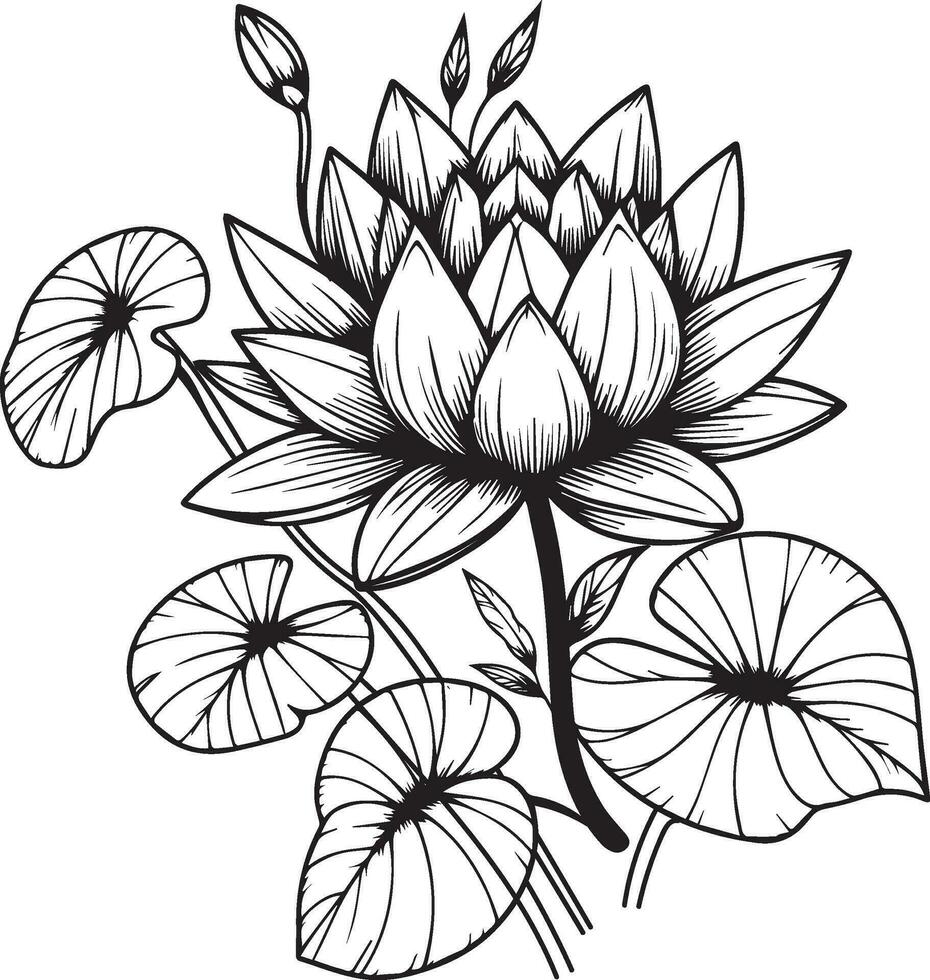 Waterlily bouquet, of flower design for card or print. hand painted flowers illustration isolated on white backgrounds, engraved ink art floral coloring pages, and books for print vector