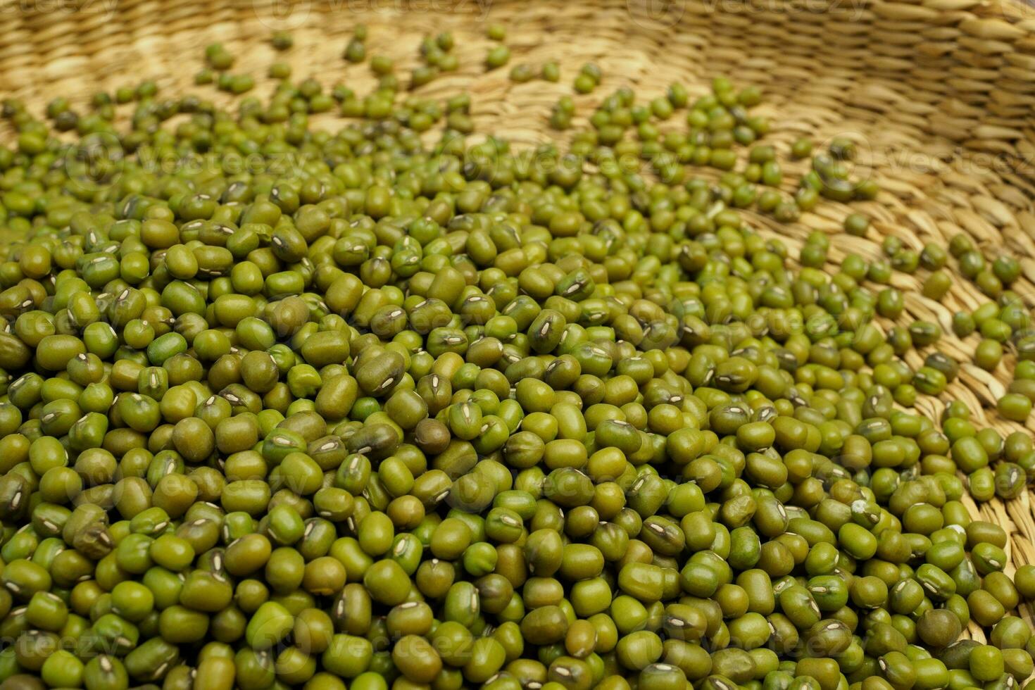 Closeup of lots of mung beans photo