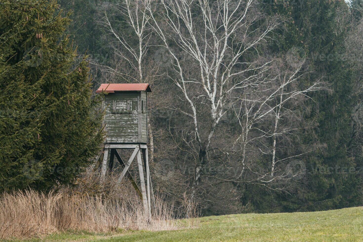 Wooden lookout tower for hunting in the woods and on meadow photo