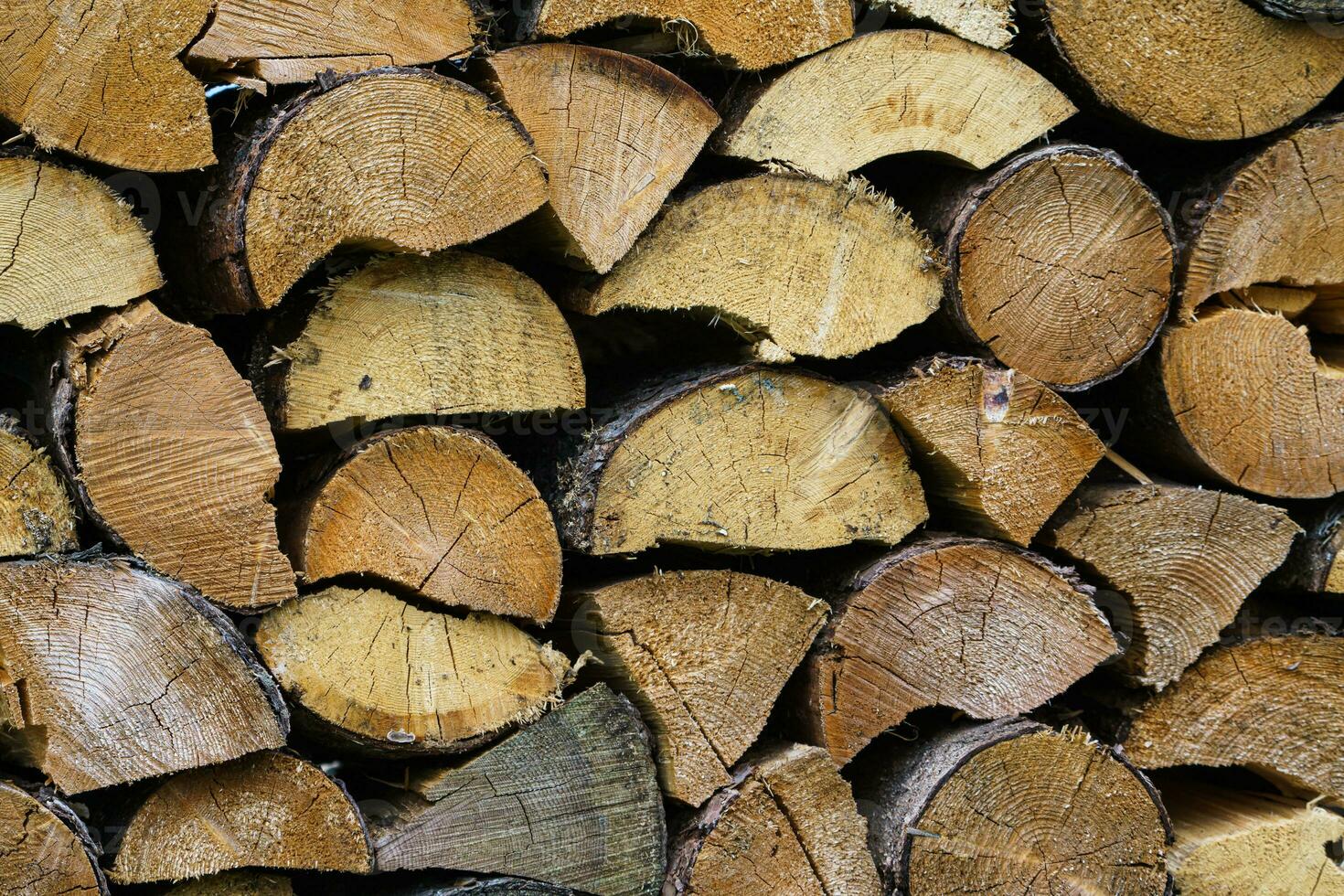 Stack of firewood prepared for winter. Spruce wood. photo