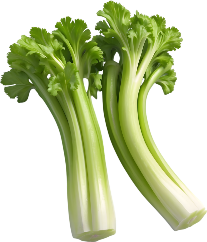 AI generated green celery on transparent background png