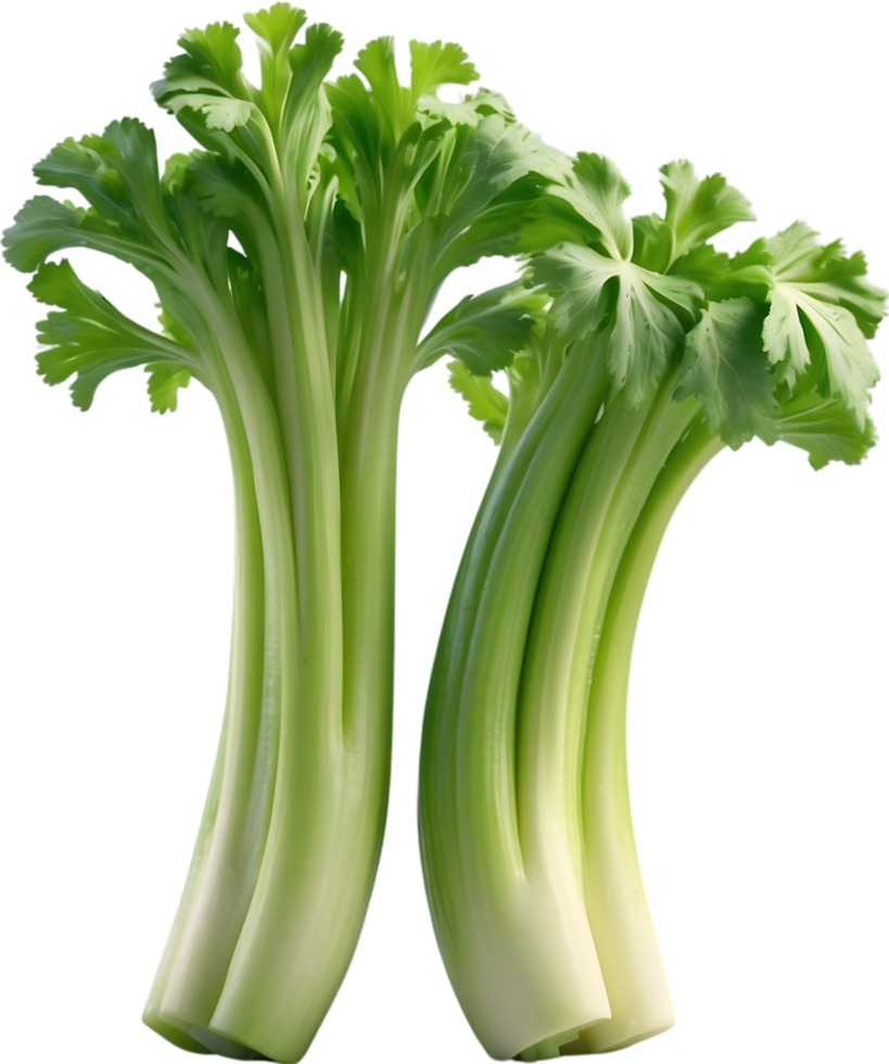AI generated green celery on transparent background png