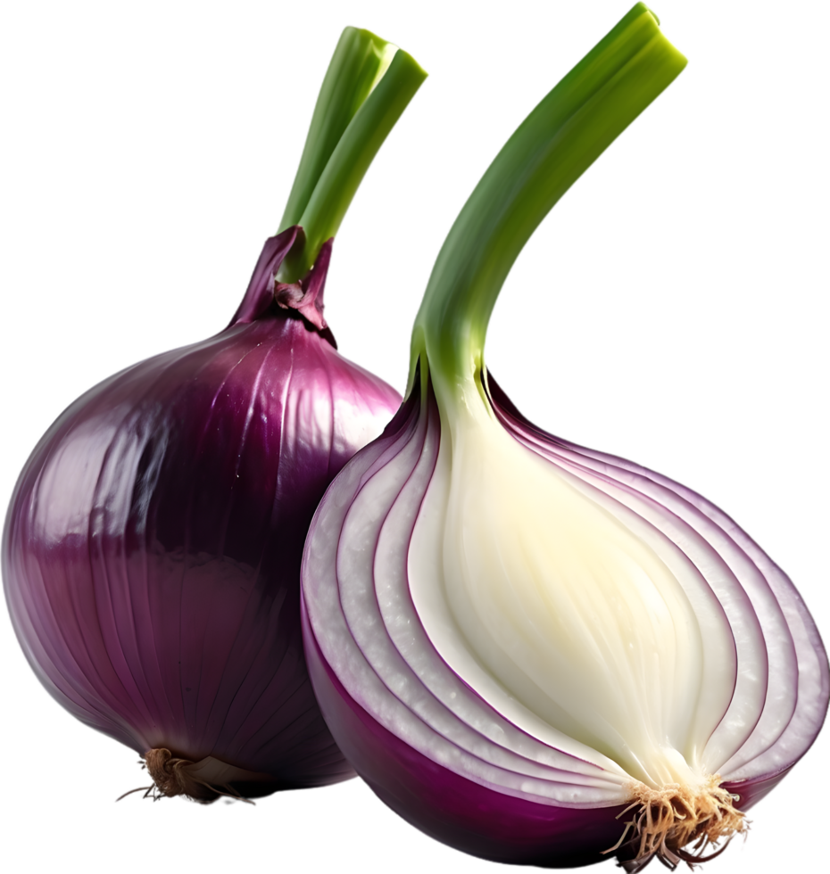 AI generated two onions on a transparent background png
