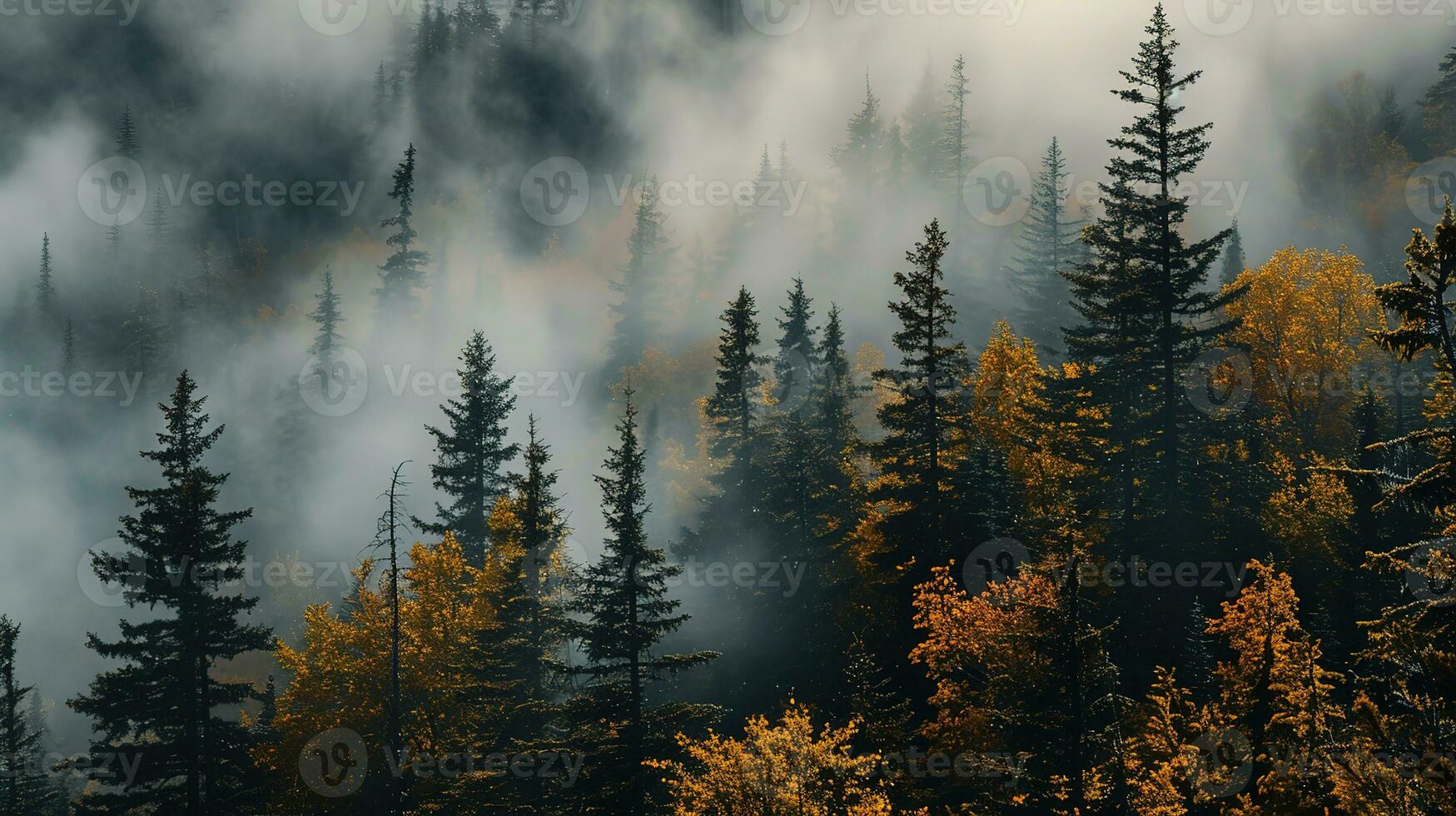 AI generated the land of pine trees, rain forest, mist, autumn fog photo