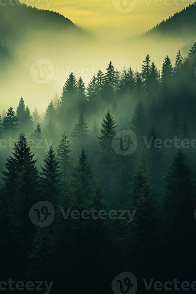 AI generated the land of pine trees, rain forest, mist, autumn fog photo