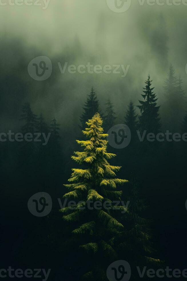 AI generated the land of pine trees, rain forest, mist, autumn fog photo