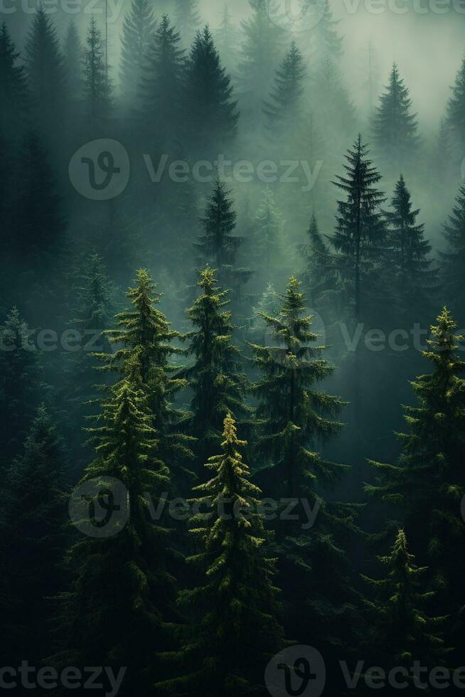 AI generated the land of pine trees, rain forest, mist, autumn fog photo