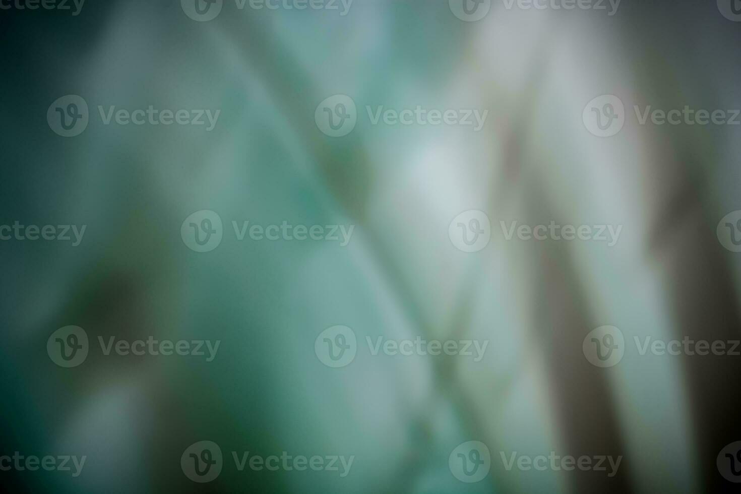 Defocused abstract textures, trees and grass. Abstract background for your design. photo