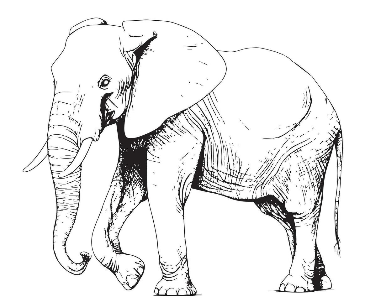 Big walking elephant hand drawn sketch Vector illustration