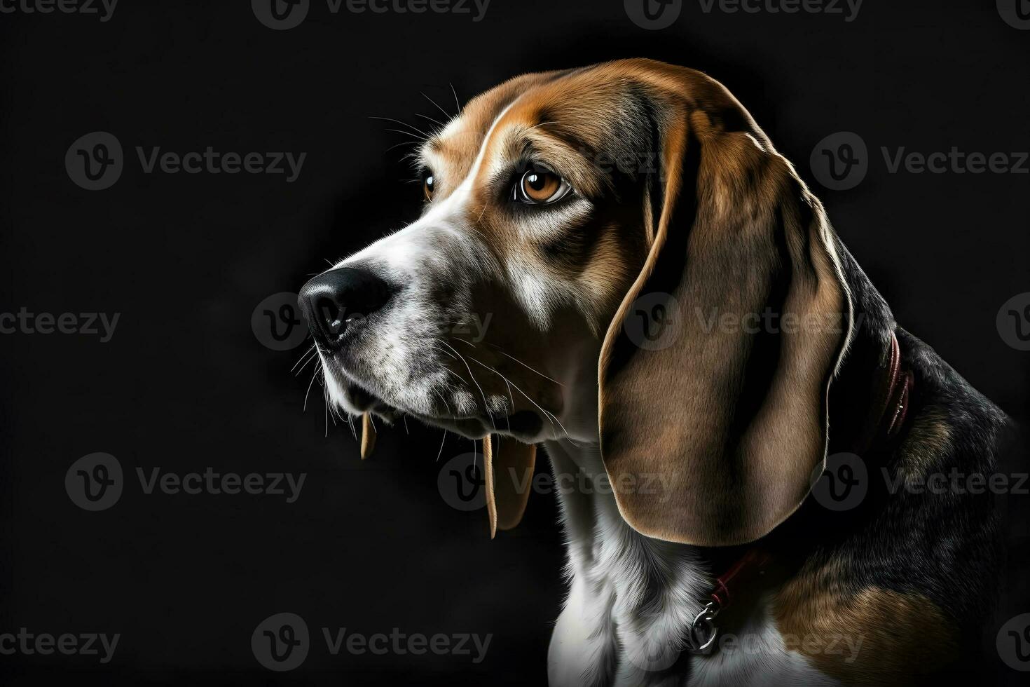 AI generated Beagle dog in portrait against black background. Neural network AI generated photo