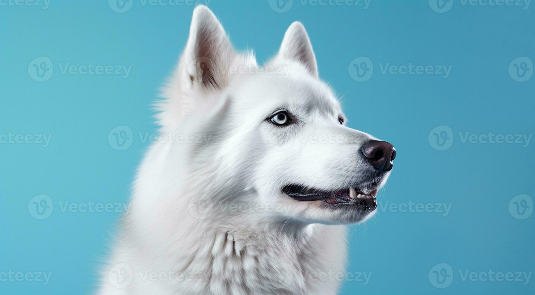 AI generated dog on the abstract background, dog face, close-up of dog face, dog portrait on background, looking dog photo