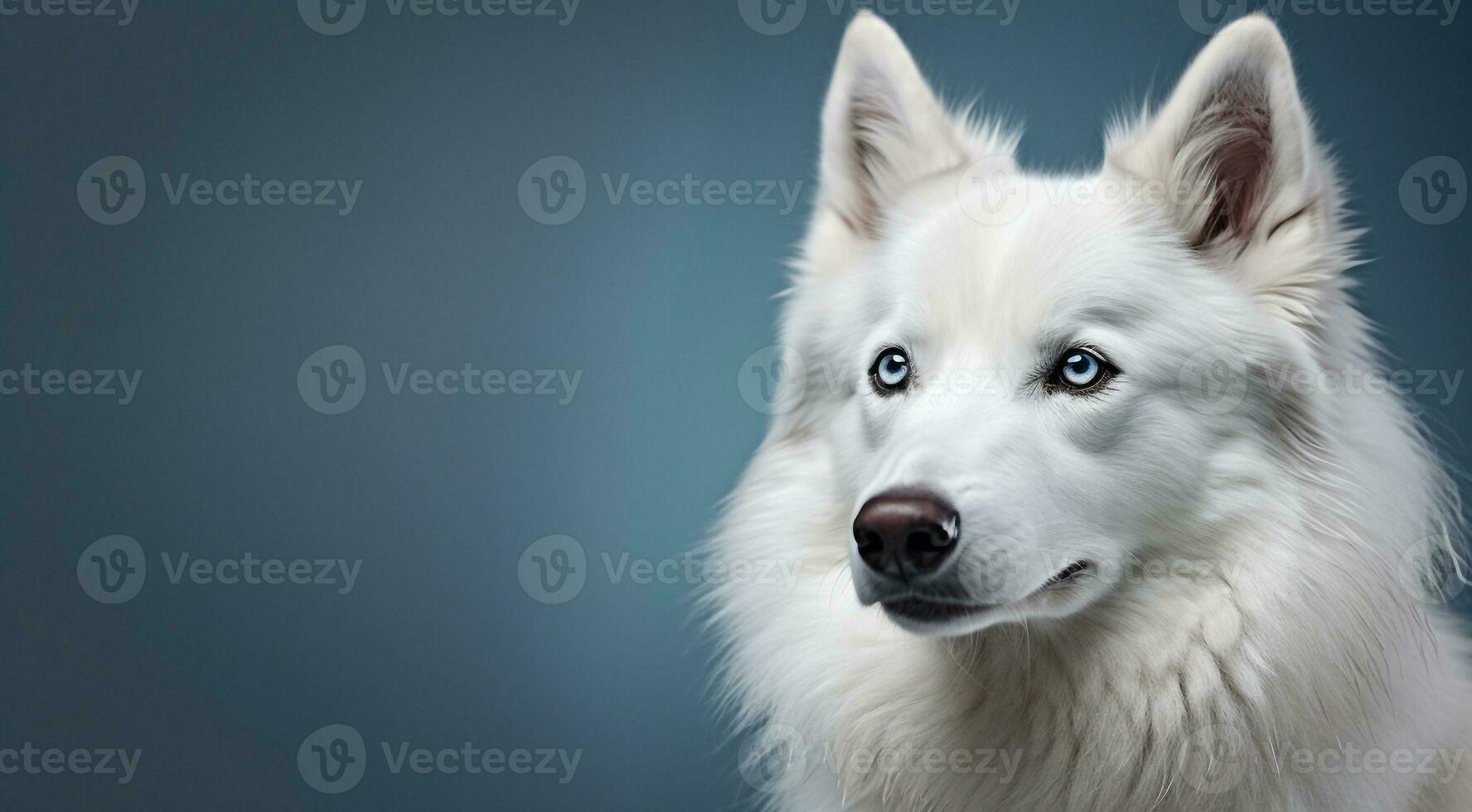 AI generated dog on the abstract background, dog face, close-up of dog face, dog portrait on background, looking dog photo