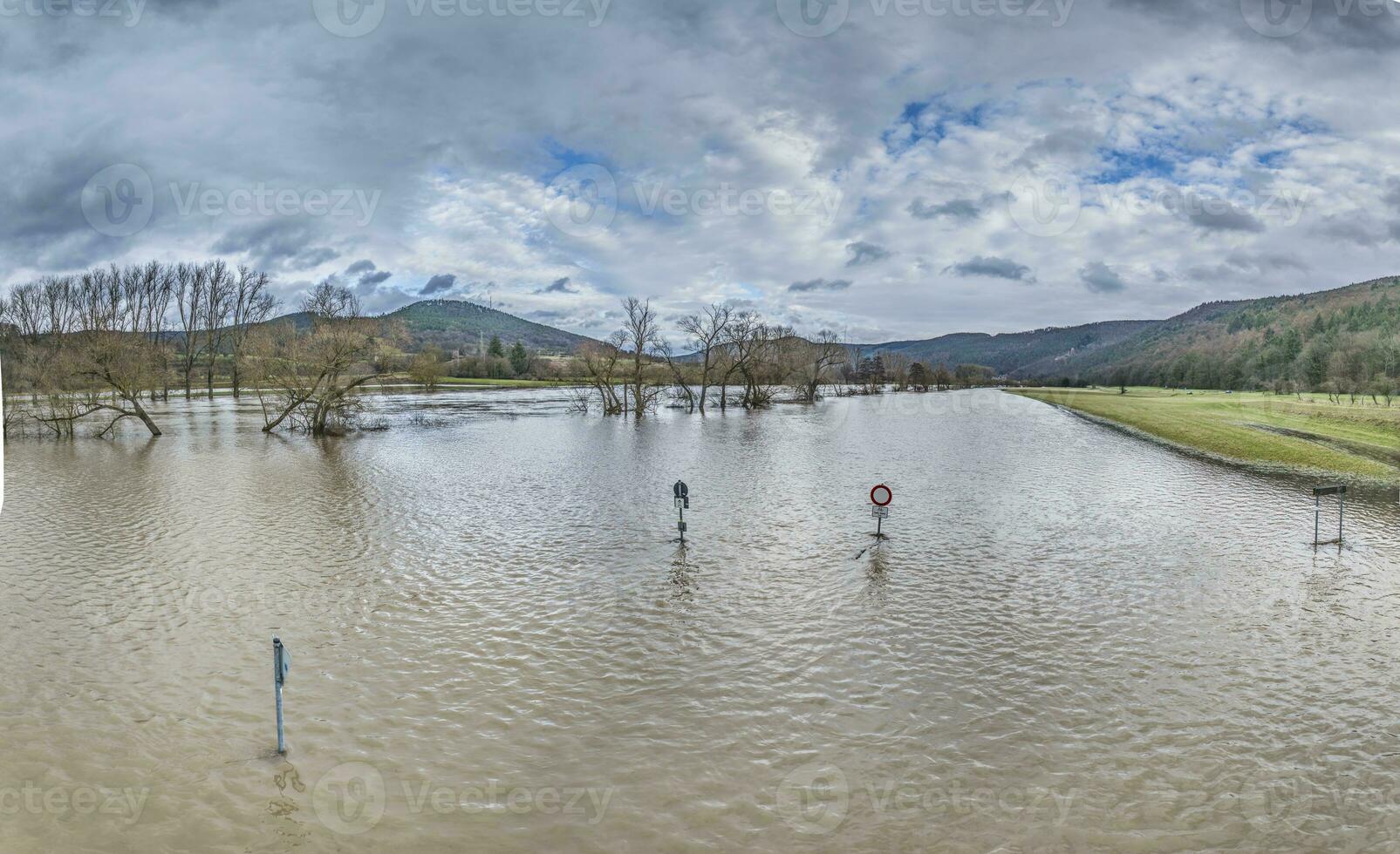 Drone image of the German river Main during a flood with flooded trees and traffic signs on the bank photo