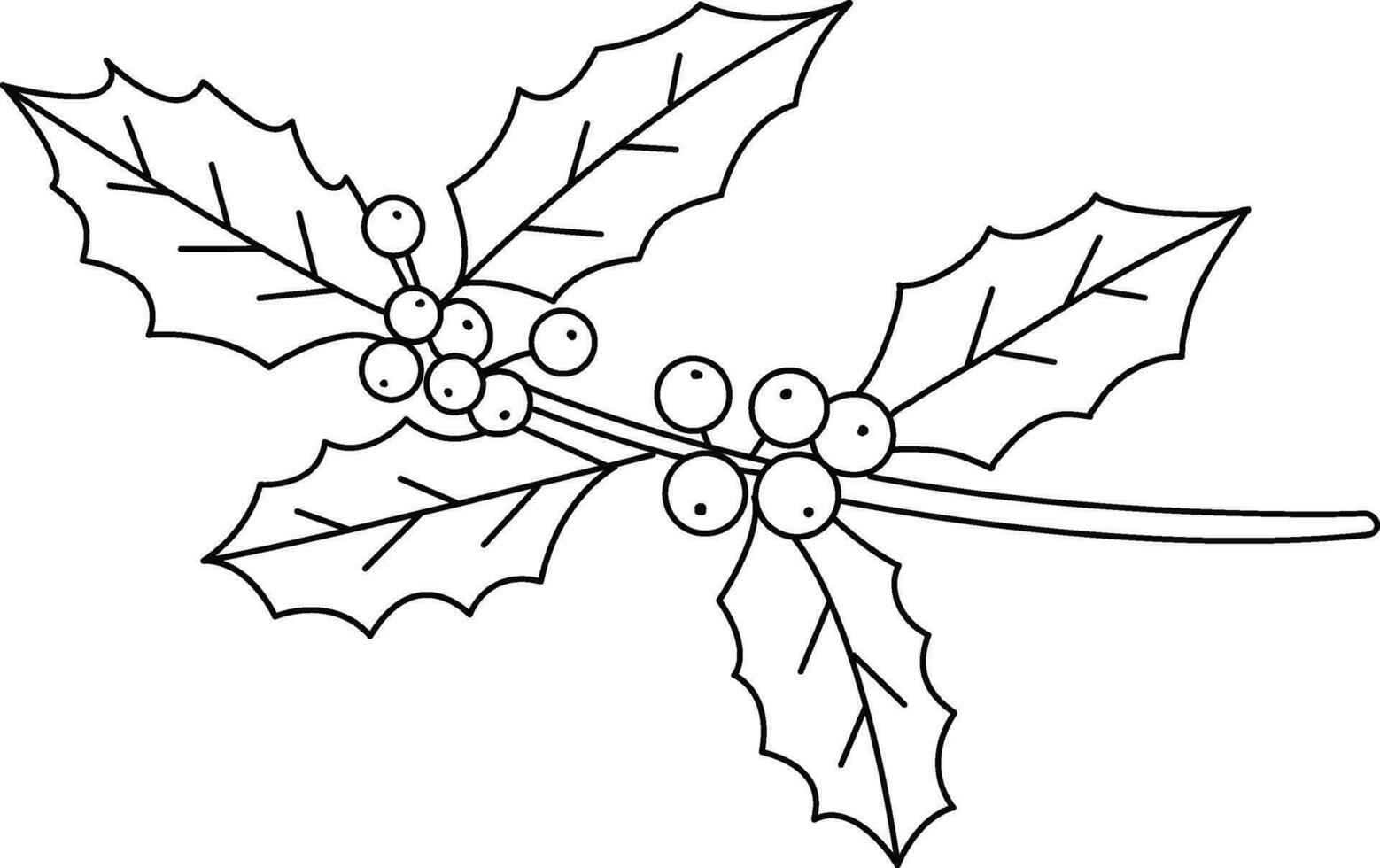 doodle simple, cute hand-drawn Holly pattern, The Holly design used decorate Christmas cards, invitations, wreaths. beautiful  Holly leaves and berries. vector