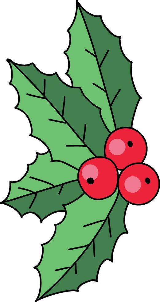 acebo dibujos animados, linda dibujado a mano acebo patrón, el acebo diseño usado Decorar Navidad tarjetas, invitaciones, coronas hermosa acebo hojas y bayas. vector