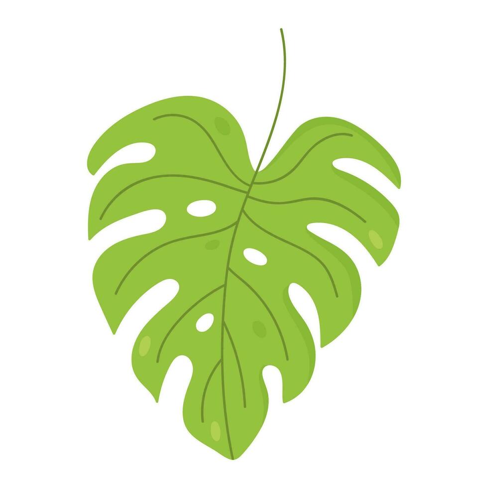 Monstera leaf isolated on white background. Vector hand-drawn illustration. Perfect for logo, cards, decorations, various designs. Botanical clipart.