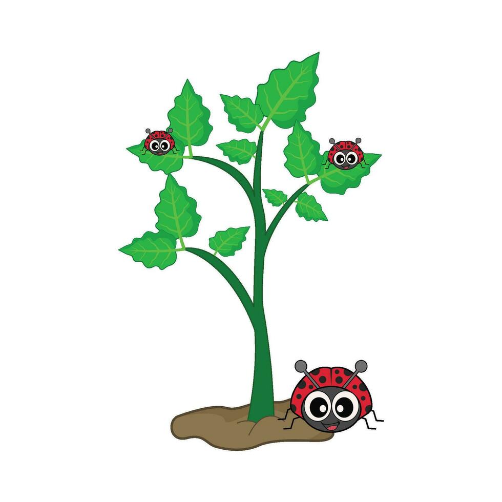 ladybug in tree illustration vector