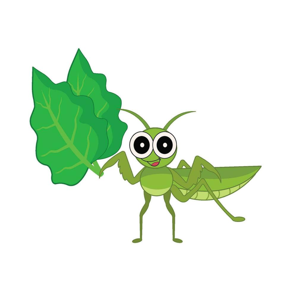 insect with leaf illustration vector