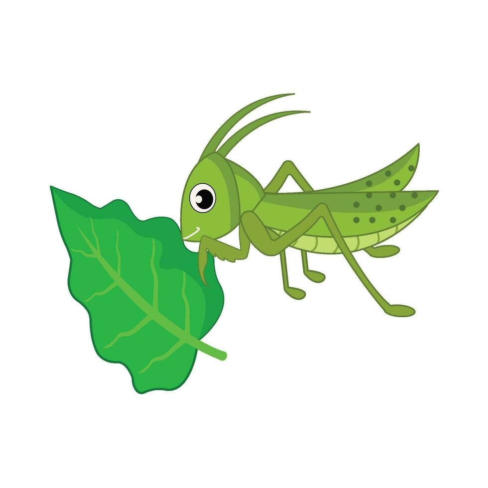 insect with leaf illustration vector