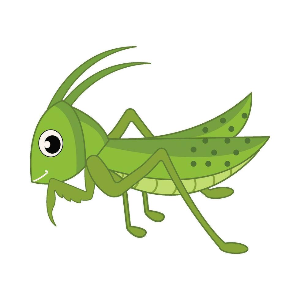 insect animal illustration vector