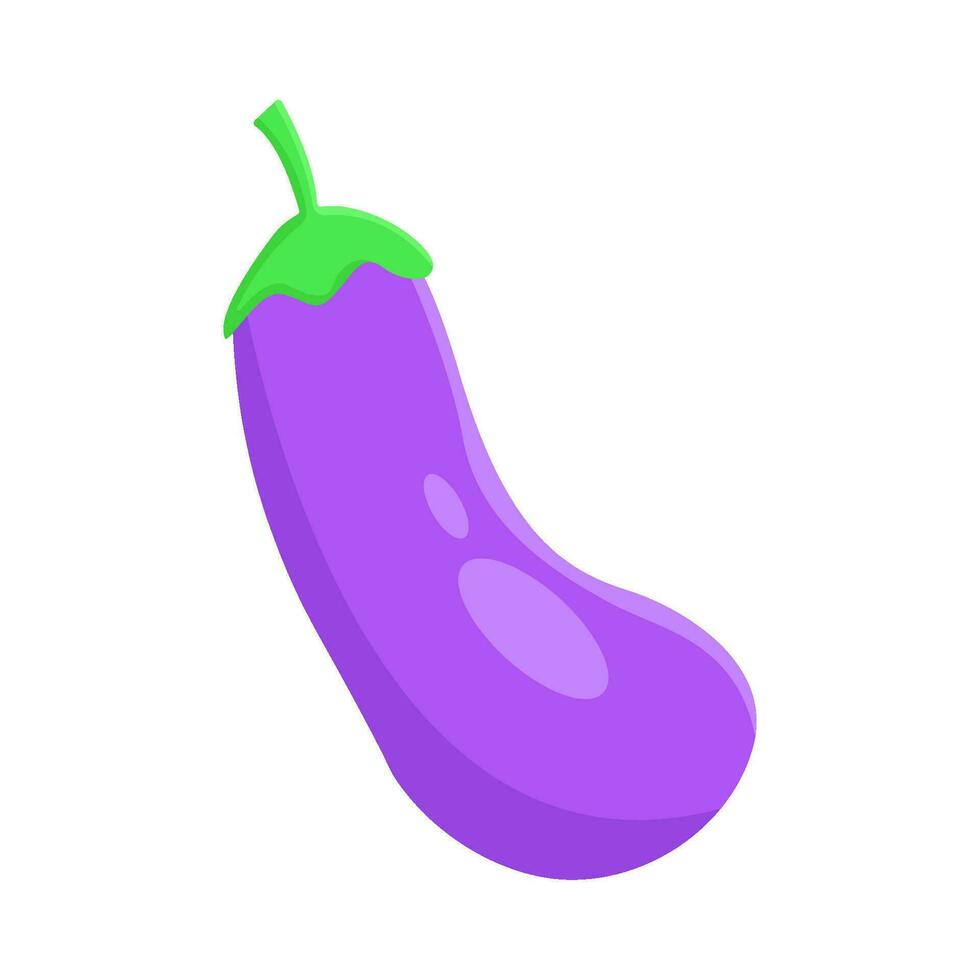 eggplant vegetable illustration vector