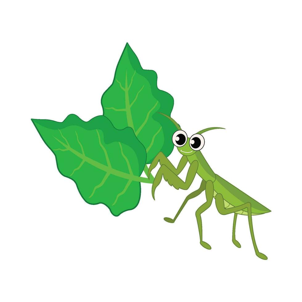 insect with leaf illustration vector