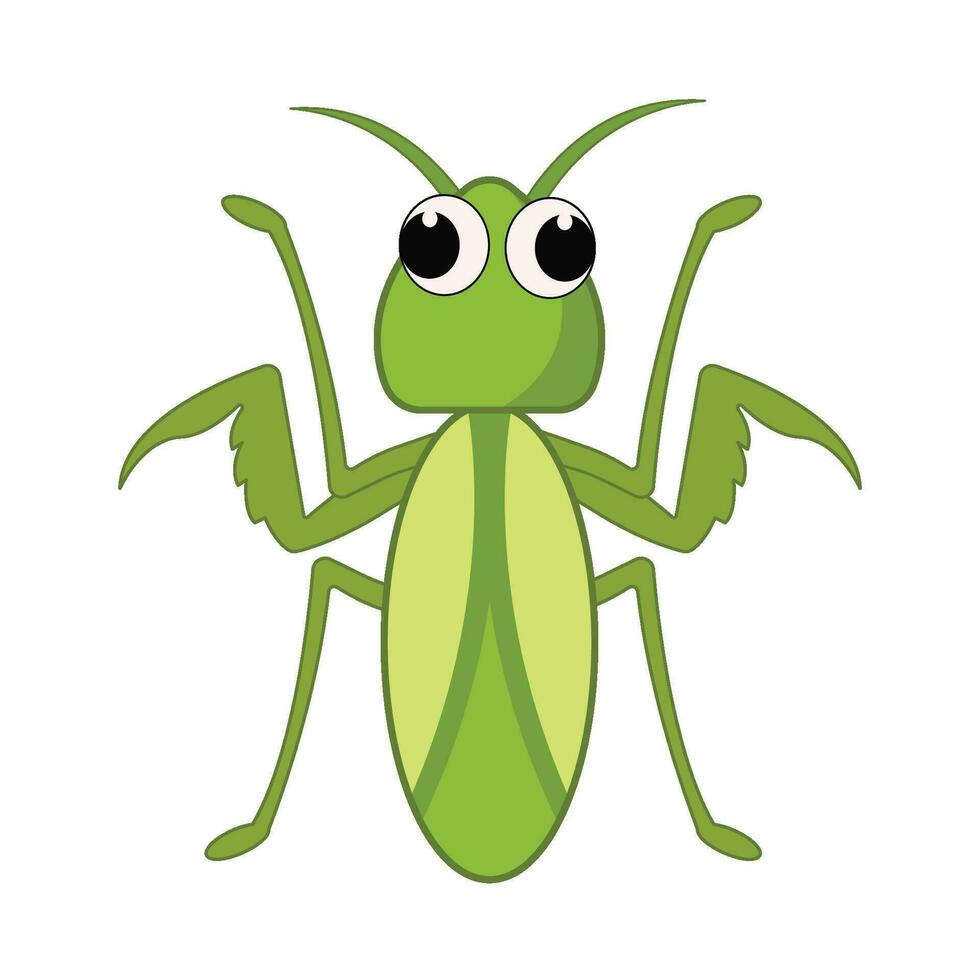 insect animal illustration vector