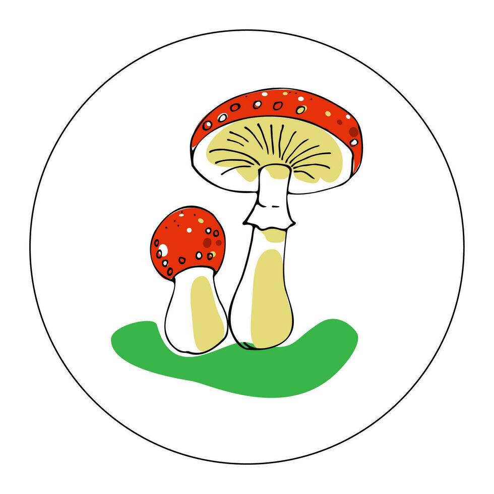 Hand drawn vector color illustration in cartoon style. Linear drawing of colored fly mushrooms in a circle on a white background.