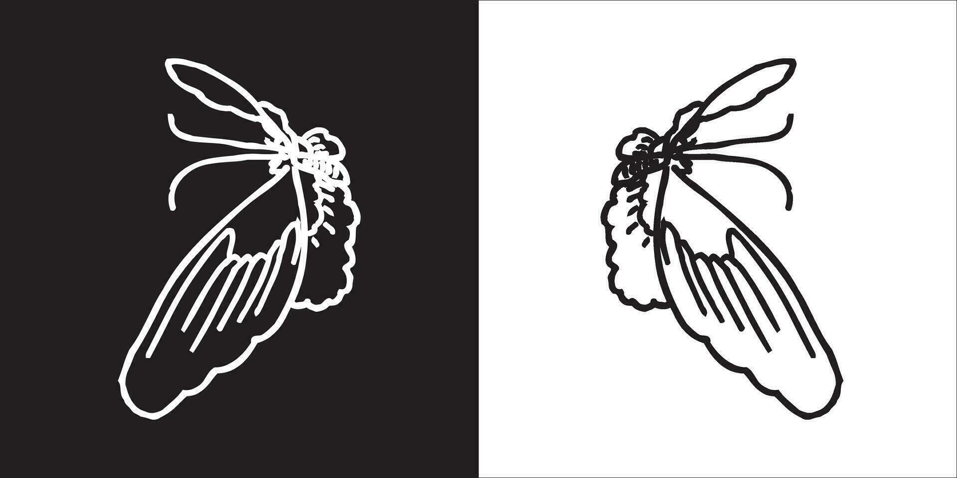 Illustration vector graphics of butterfly icon