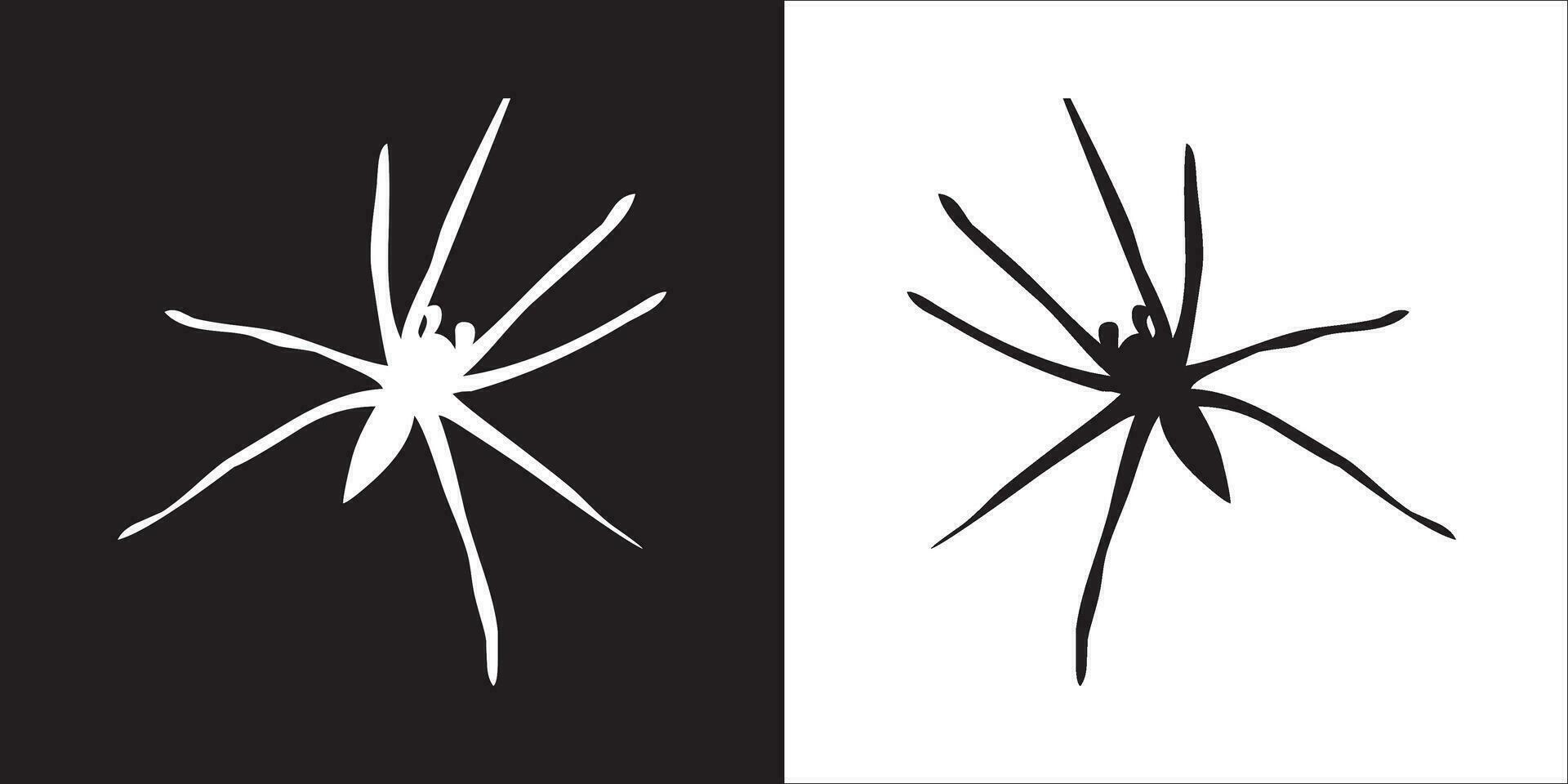 Illustration vector graphics of spider icon
