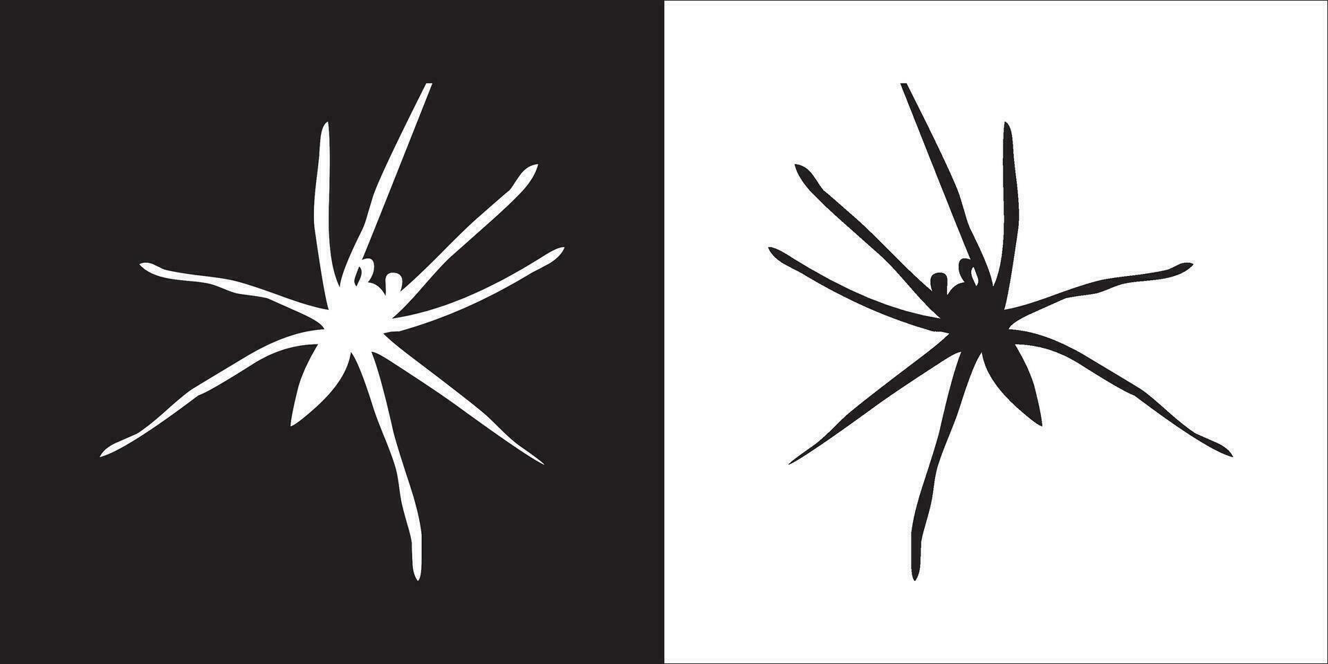 ilustración vector gráficos de araña icono