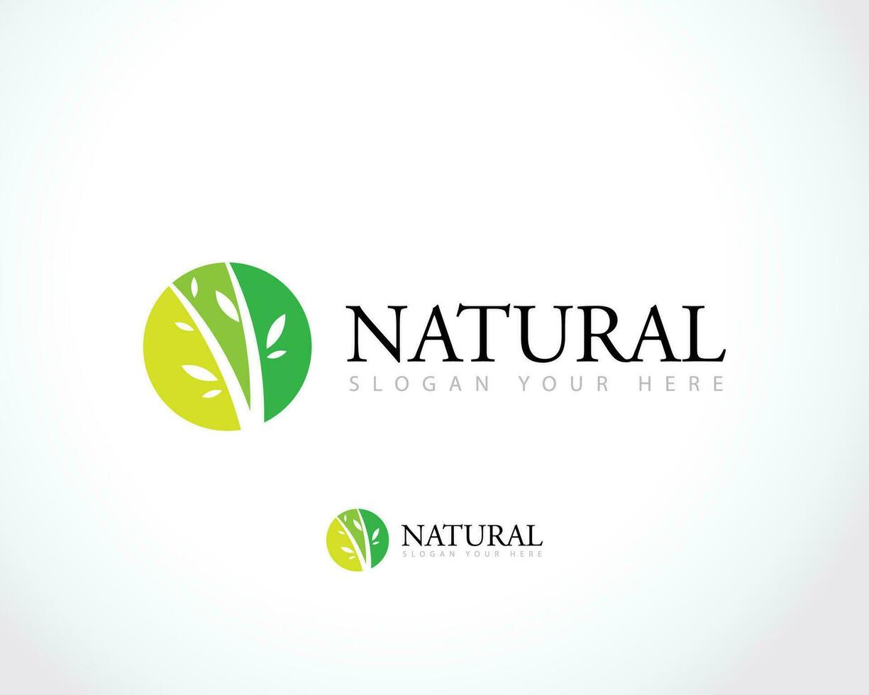 naturaleza símbolo creativo orgánico concepto. bio salud cuidado herbario resumen negocio eco logo. Fresco alimento, circulo embalar, belleza flora, farmacia icono. vector